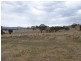 0 Government Road, Elmhurst VIC 3469