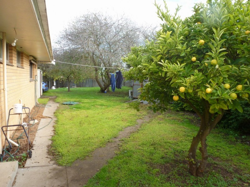 131 Montgomery Street, Lake Bolac VIC 3351