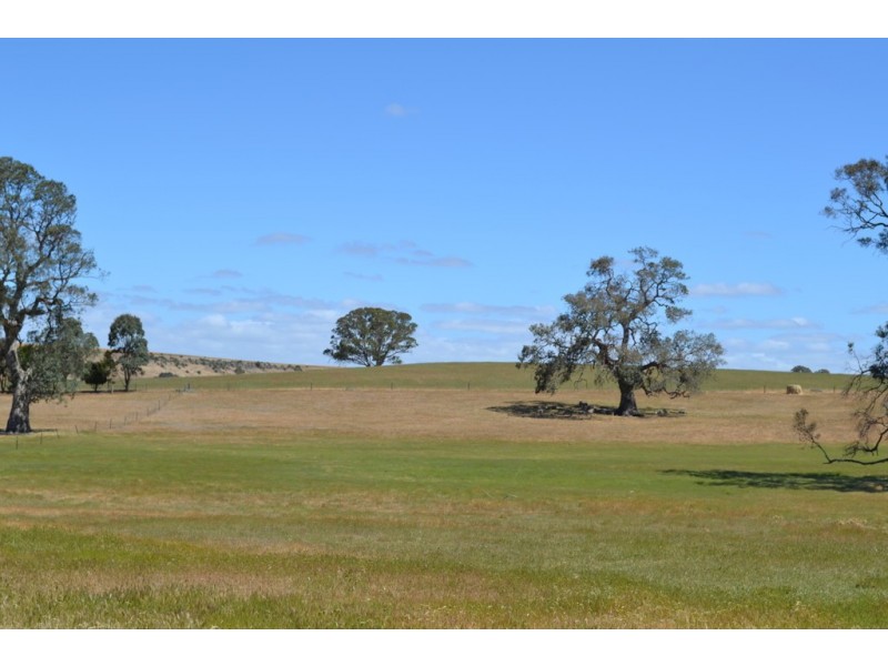873 Willaura-Wickliffe Road, Willaura VIC 3379