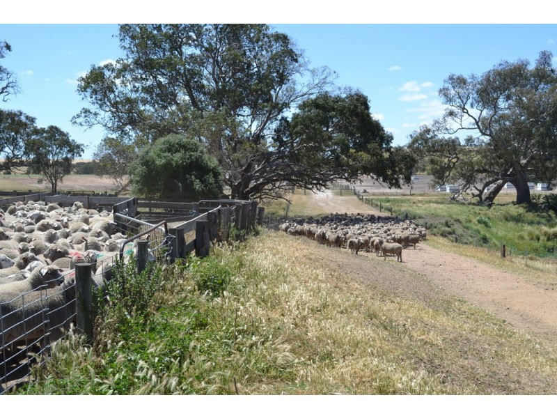 873 Willaura-Wickliffe Road, Willaura VIC 3379
