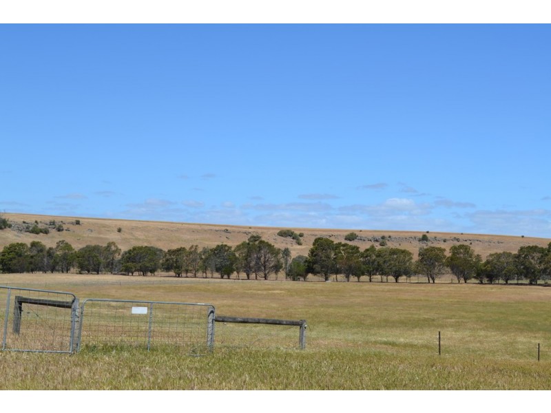 873 Willaura-Wickliffe Road, Willaura VIC 3379