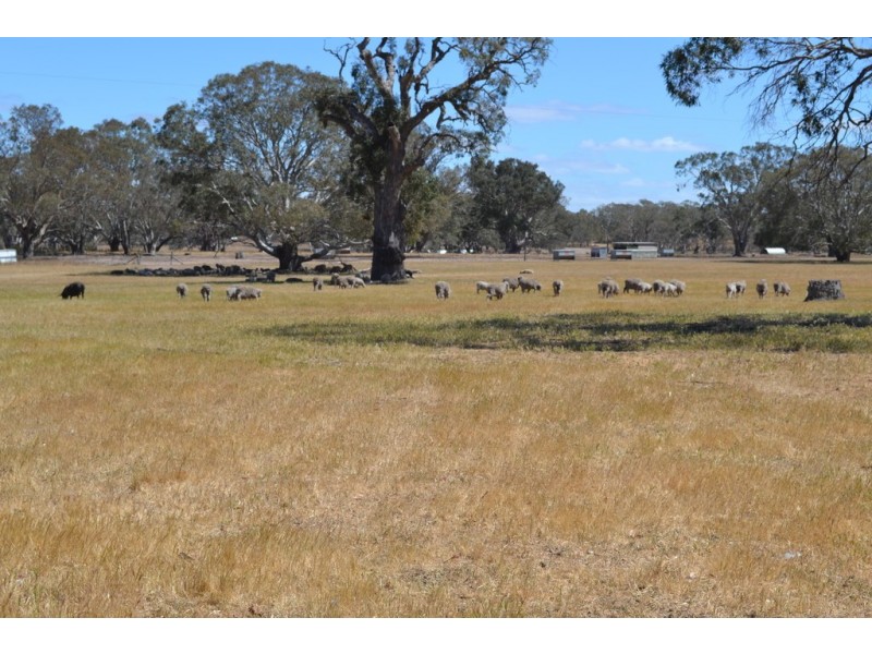 873 Willaura-Wickliffe Road, Willaura VIC 3379
