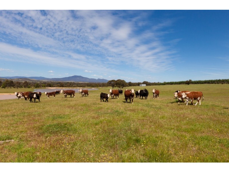 0 Noah’s Ark Road, Ararat VIC 3377