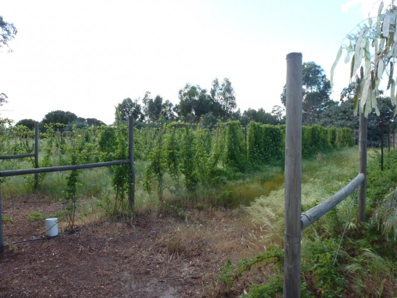 3621 Ararat – Halls Gap Road, Pomonal VIC 3381