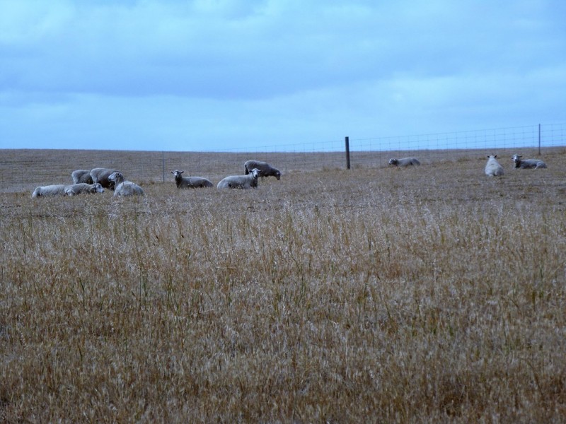 0 Corner Murray Road and Glenelg Highway, Lake Bolac VIC 3351