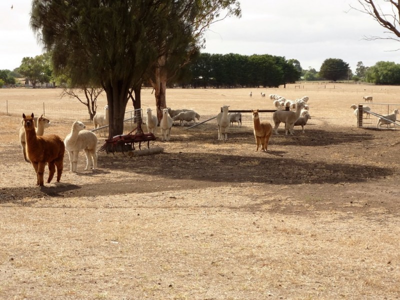 0 Corner Murray Road and Glenelg Highway, Lake Bolac VIC 3351