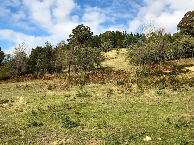 27 Efour Road, Raglan VIC 3373