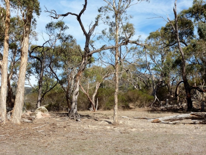 Lot 1 Bank Road, Warrak VIC 3377