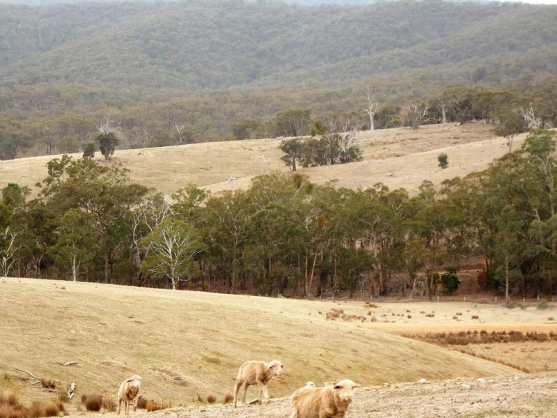 0 Landsborough Elmhurst Road, Landsborough VIC 3384