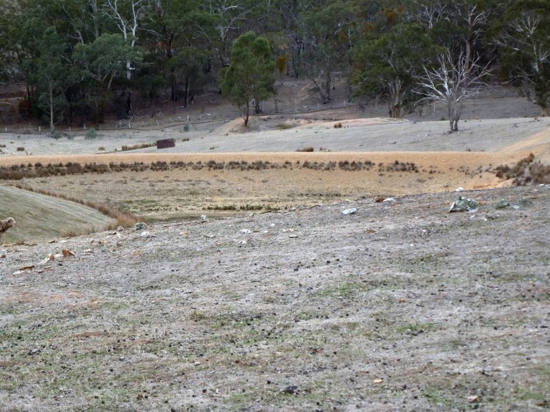 0 Landsborough Elmhurst Road, Landsborough VIC 3384