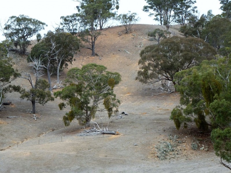 0 Landsborough Elmhurst Road, Landsborough VIC 3384