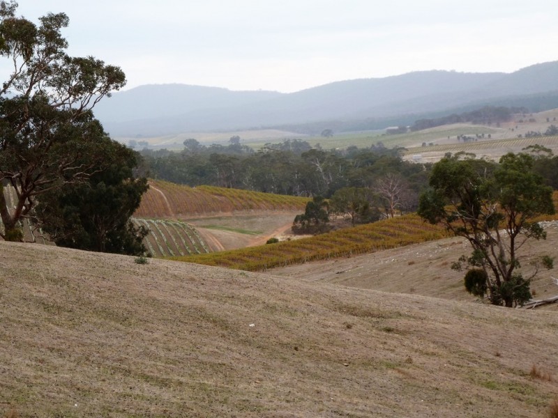 0 Landsborough Elmhurst Road, Landsborough VIC 3384