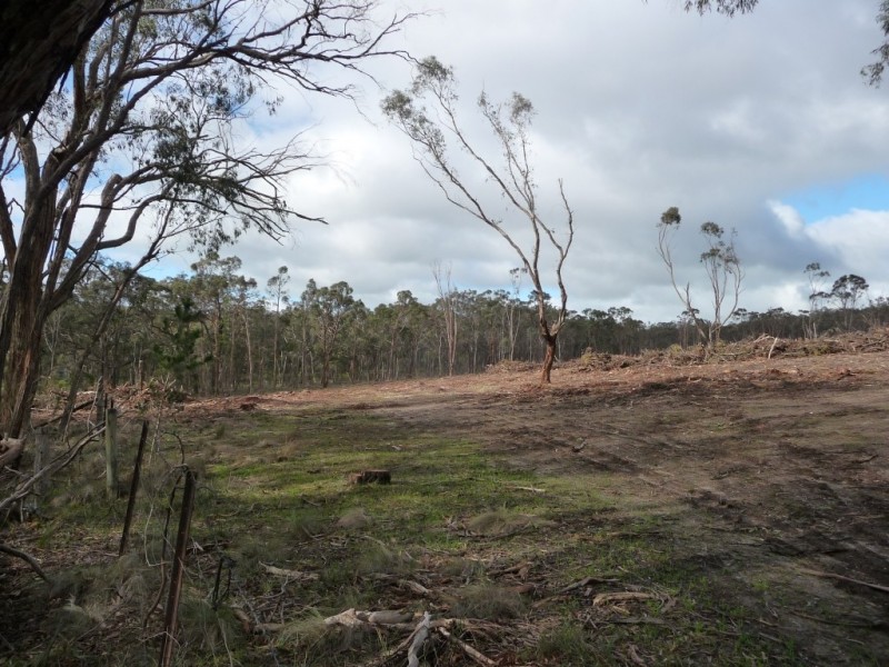 Lot 59J Mopoke Gully Lane, Beaufort VIC 3373