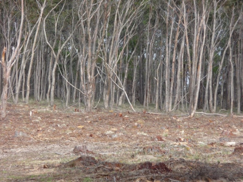 Lot 59J Mopoke Gully Lane, Beaufort VIC 3373