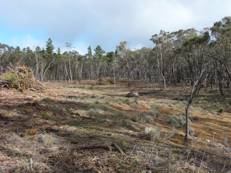 Lot 59J Mopoke Gully Lane, Beaufort VIC 3373