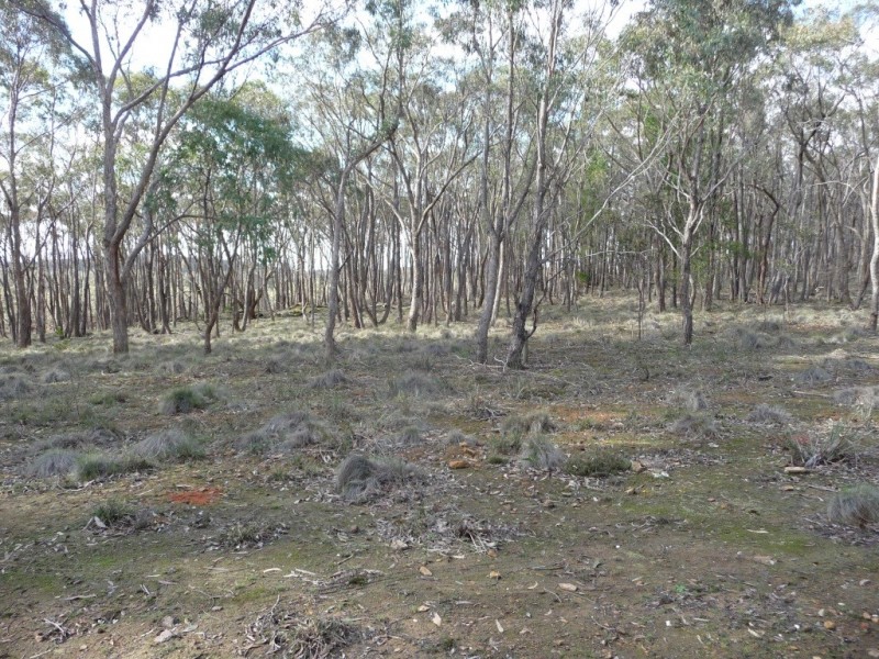 Lot 59J Mopoke Gully Lane, Beaufort VIC 3373