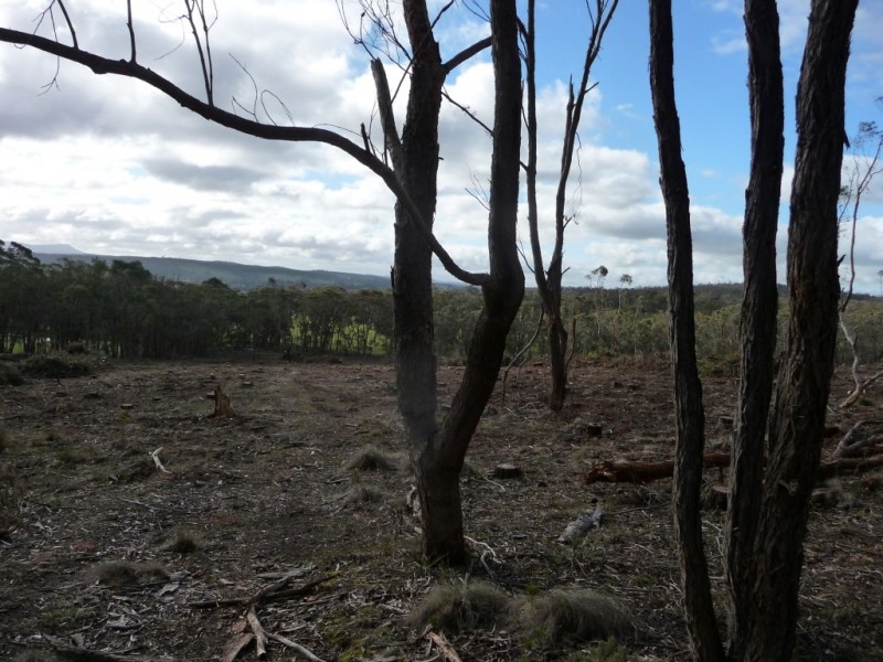 Lot 59J Mopoke Gully Lane, Beaufort VIC 3373