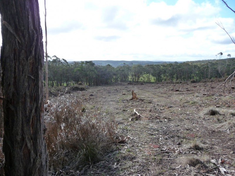 Lot 59J Mopoke Gully Lane, Beaufort VIC 3373