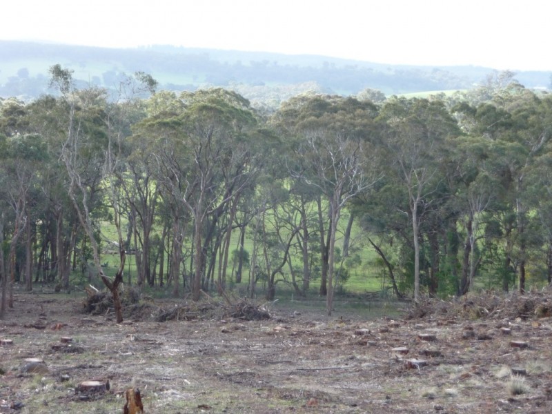 Lot 59J Mopoke Gully Lane, Beaufort VIC 3373