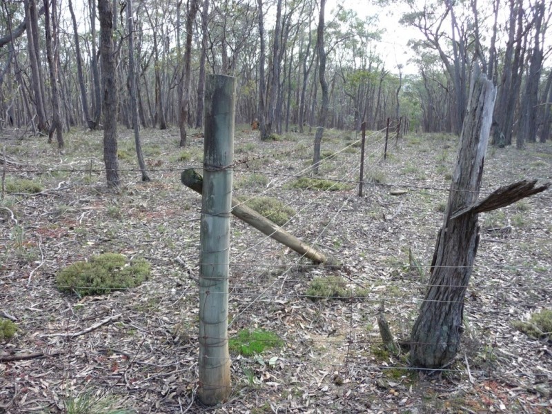 Lot 59J Mopoke Gully Lane, Beaufort VIC 3373