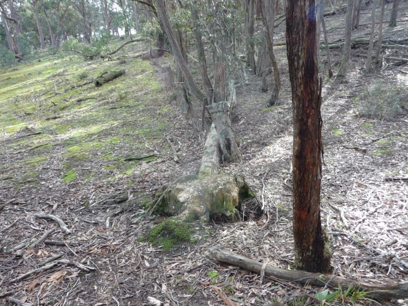 Lot 59J Mopoke Gully Lane, Beaufort VIC 3373