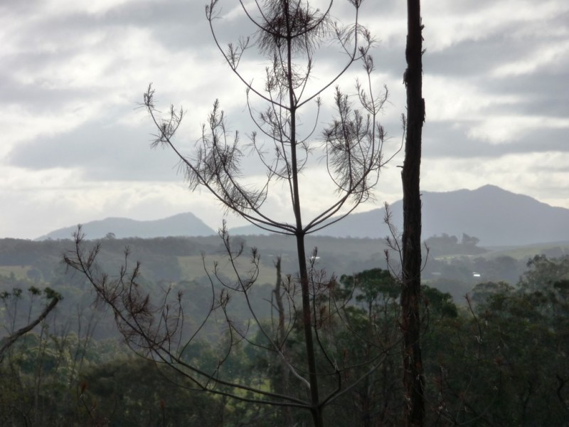 Lot 59J Mopoke Gully Lane, Beaufort VIC 3373
