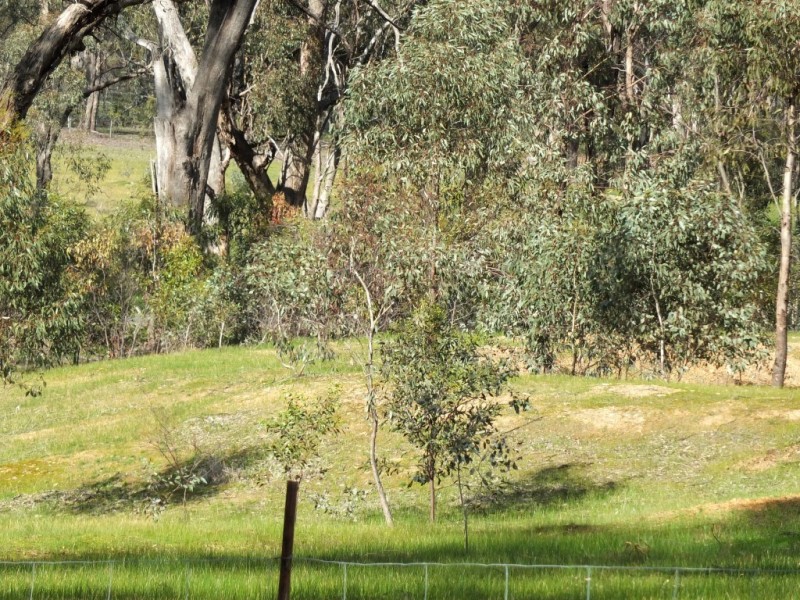 Lot 3 Landsborough Road, Navarre VIC 3384