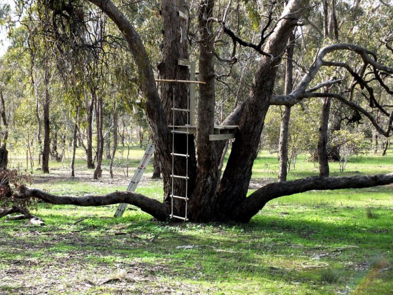 Lot 3 Landsborough Road, Navarre VIC 3384