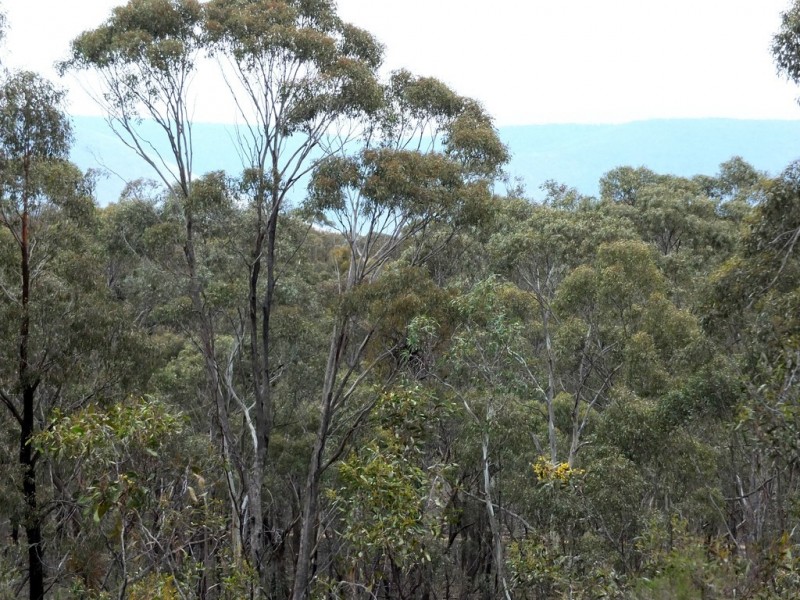 Lot 1-TP512056 Pyrenees Highway, Avoca VIC 3467