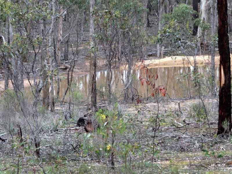 Lot 1-TP512056 Pyrenees Highway, Avoca VIC 3467