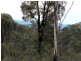 Lot 1-TP512056 Pyrenees Highway, Avoca VIC 3467