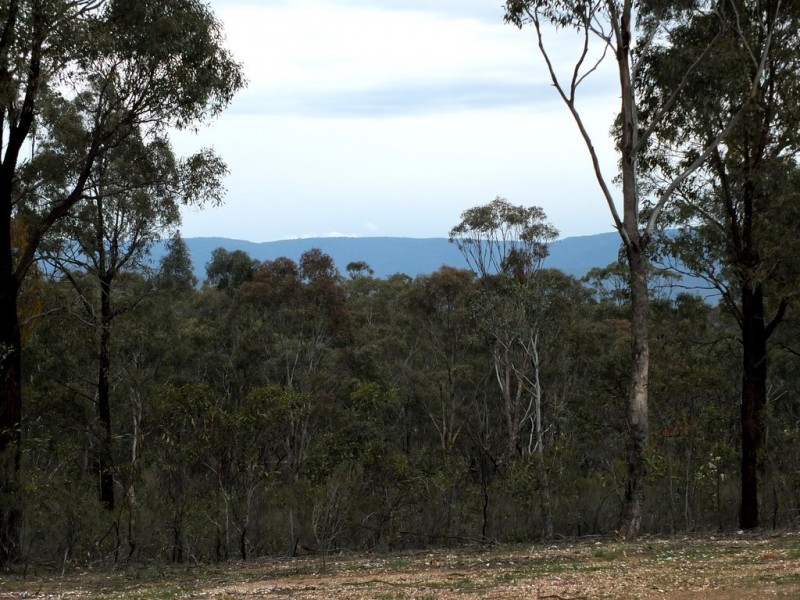Lot 1-TP512056 Pyrenees Highway, Avoca VIC 3467