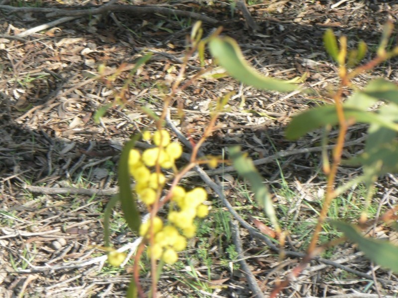 CA 5H, 340 Tyler Road, Lillicur VIC 3371