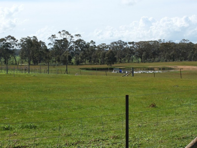 31 Andersons Lane, Percydale VIC 3478