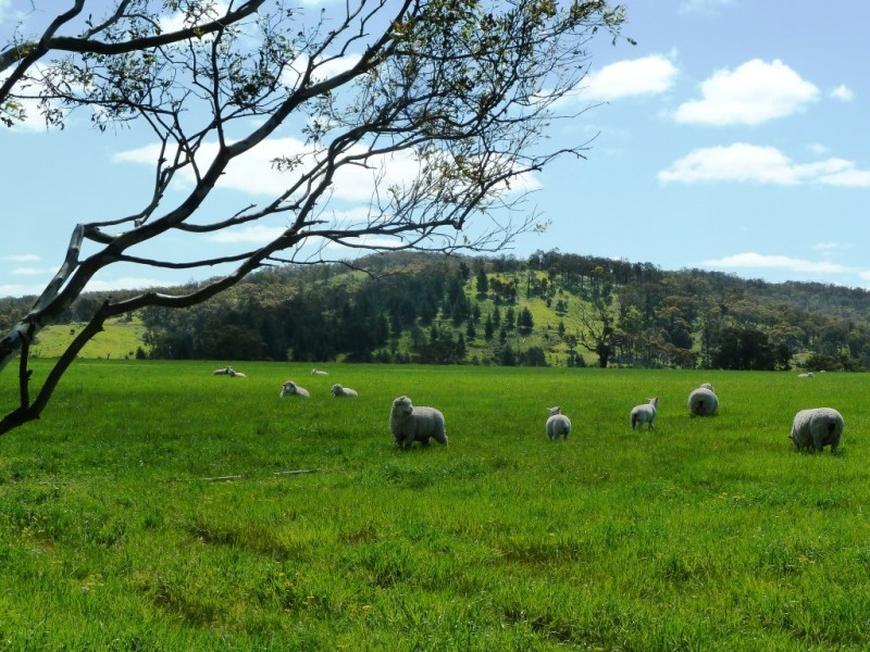 Lot 16 Racecourse Road, Cape Clear VIC 3351