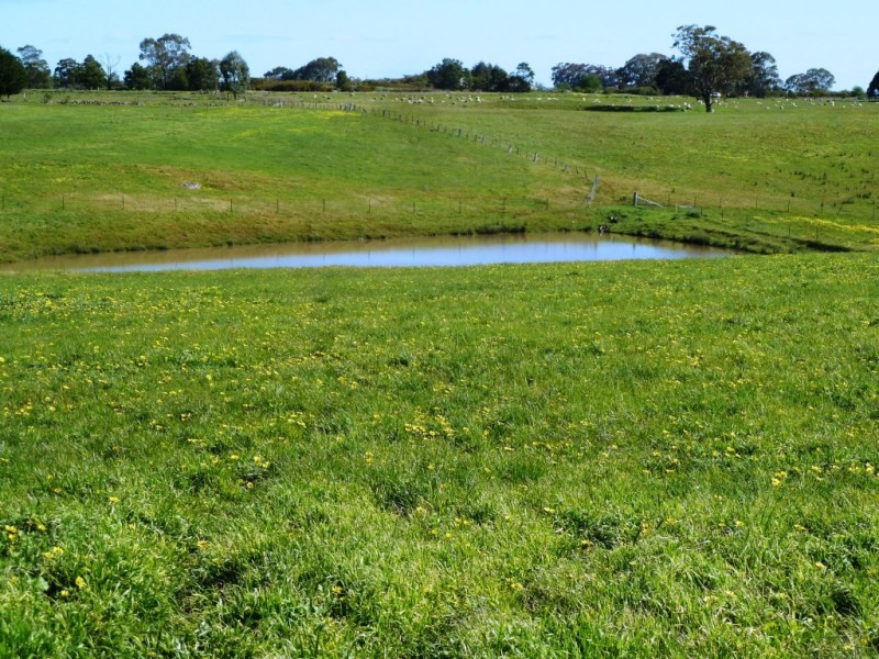 Lot 16 Racecourse Road, Cape Clear VIC 3351