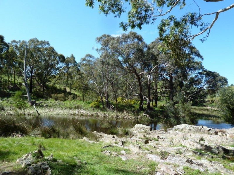 Lot 16 Racecourse Road, Cape Clear VIC 3351