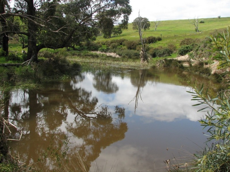 Lot 16 Racecourse Road, Cape Clear VIC 3351