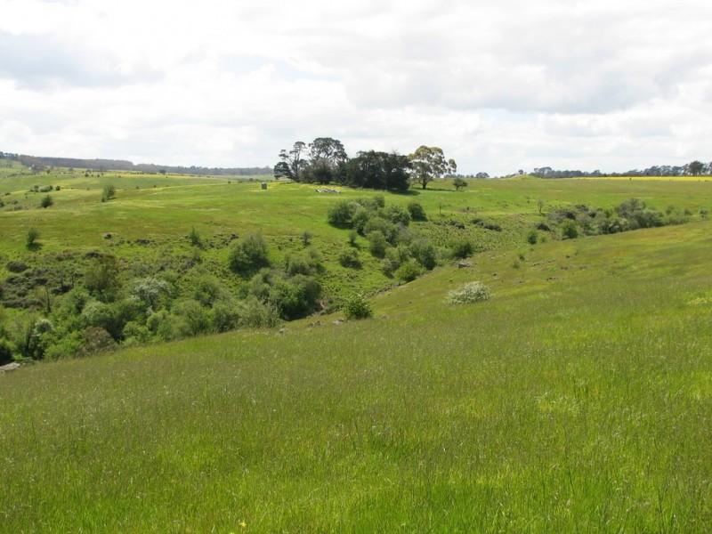 Lot 16 Racecourse Road, Cape Clear VIC 3351