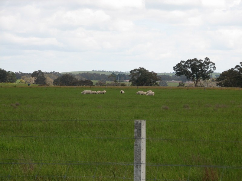 Lot 16 Racecourse Road, Cape Clear VIC 3351