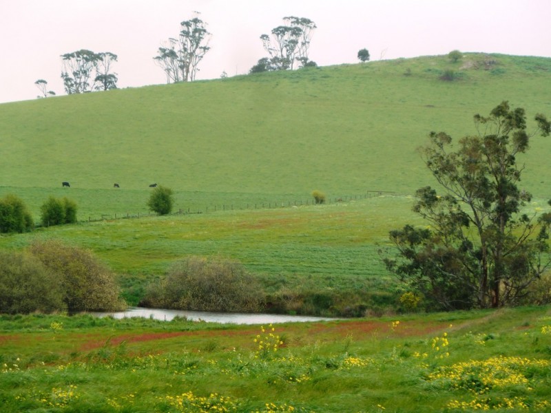 - Bungaree-Ballarat Road, Clarkes Hill VIC 3352