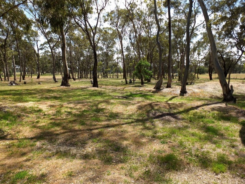 235 Curtis Road, Avoca VIC 3467