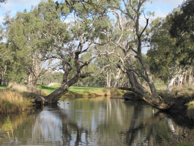 37 Faraday Street, Avoca VIC 3467