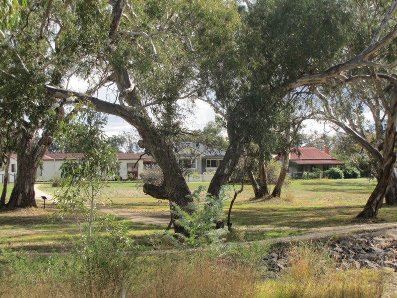 37 Faraday Street, Avoca VIC 3467