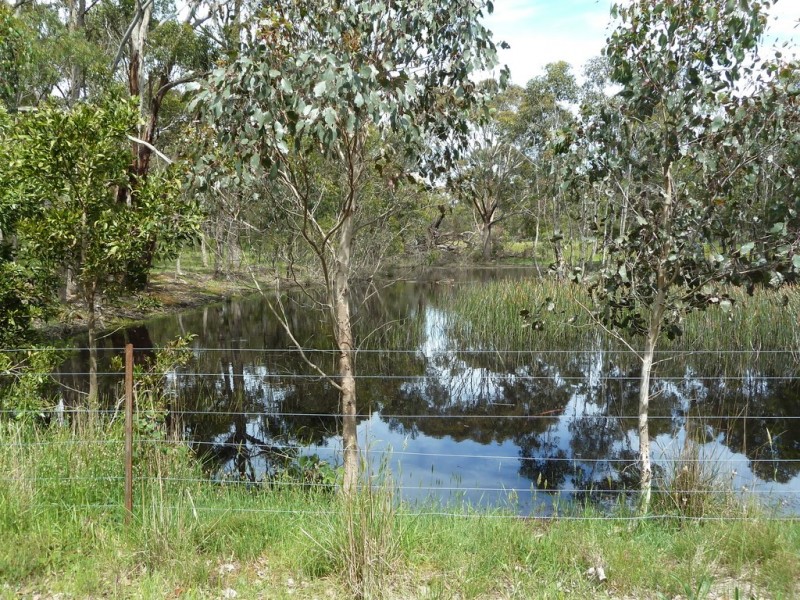 646 Tannery Road, Snake Valley VIC 3351