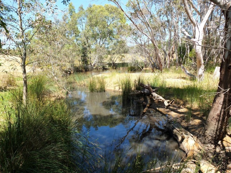 1321 Waubra-Talbot Road, Evansford VIC 3371