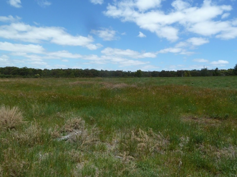 Lot 21 Judds Road, Scarsdale VIC 3351