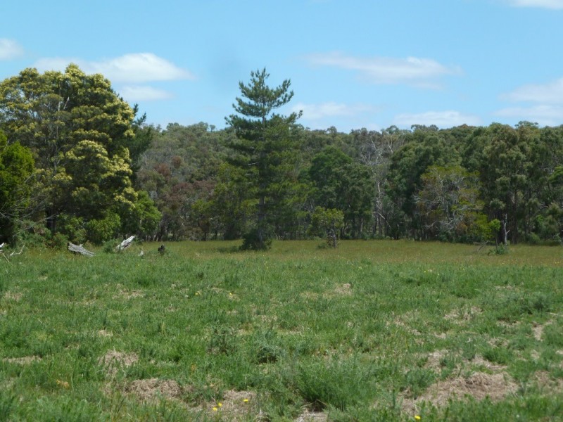 Lot 21 Judds Road, Scarsdale VIC 3351