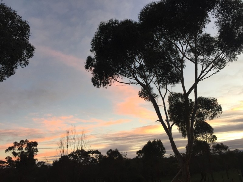 120 Scotts Road, Lillicur VIC 3371