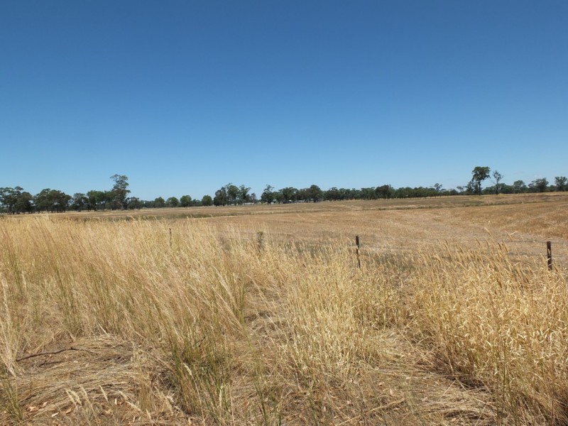 No1 Creek Road, Avoca VIC 3467